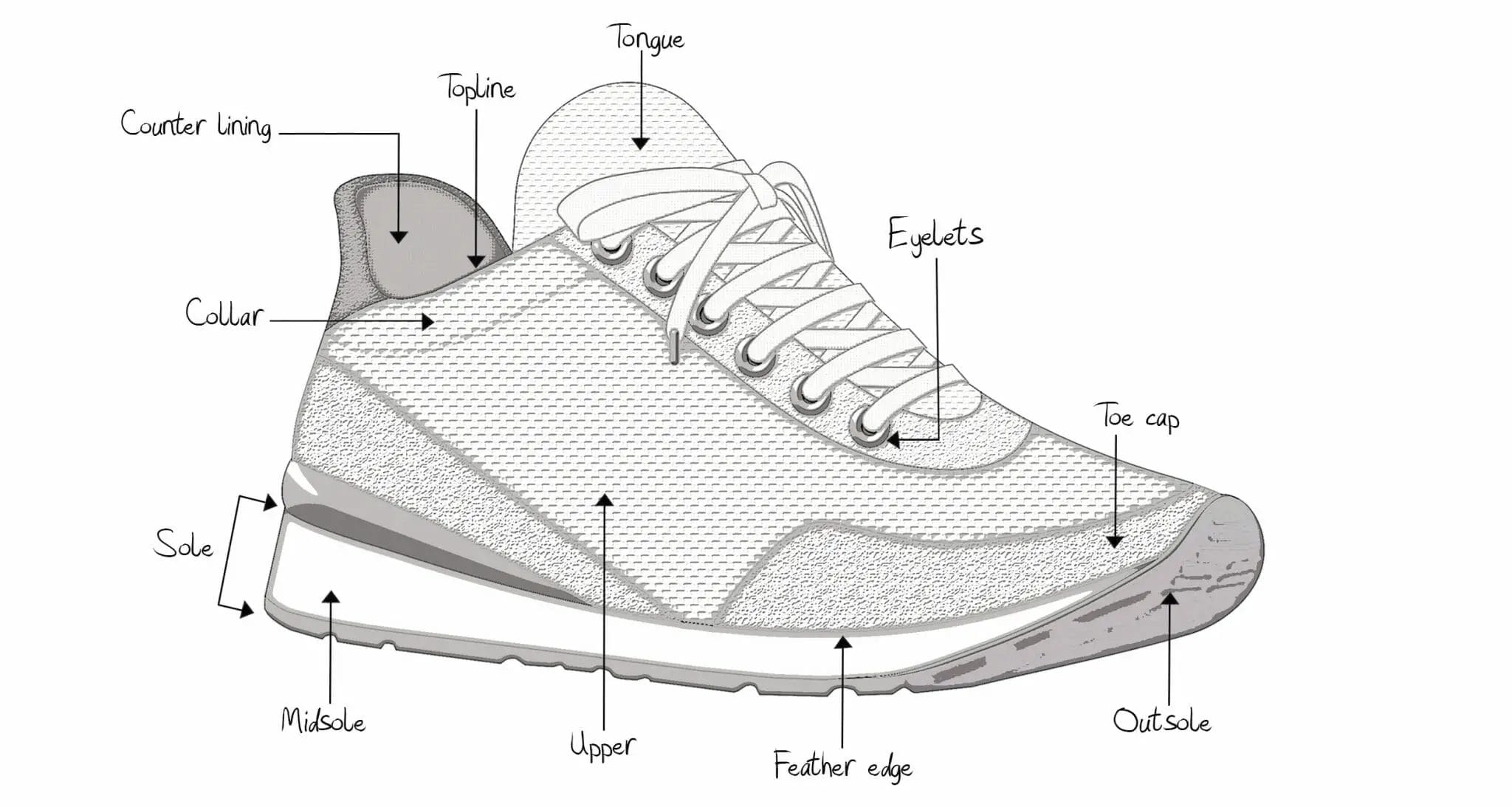 Labeled Parts Of A Shoe