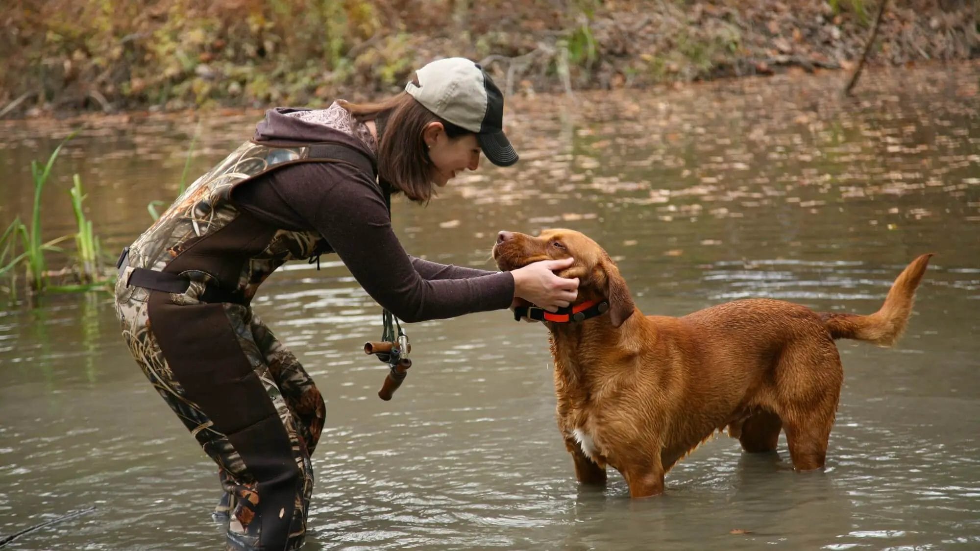 Woman in chest waders working with hunting dog